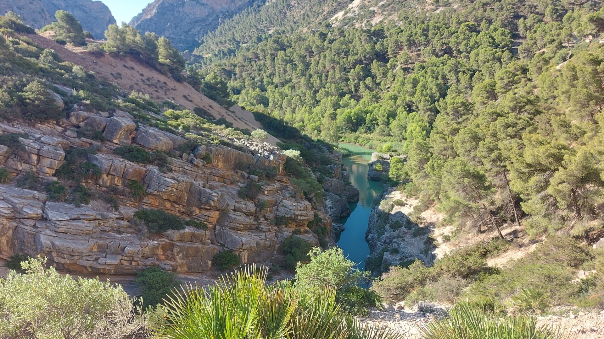 Caminito del Rey w Andaluzji - gdy chcesz przejść się Królewską Ścieżką